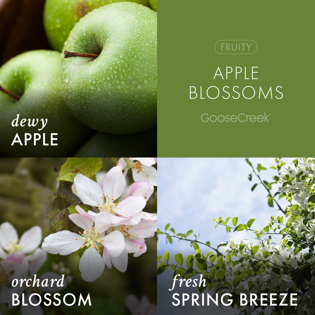 Apple Blossoms Lush Foaming Hand Soap - Image 2