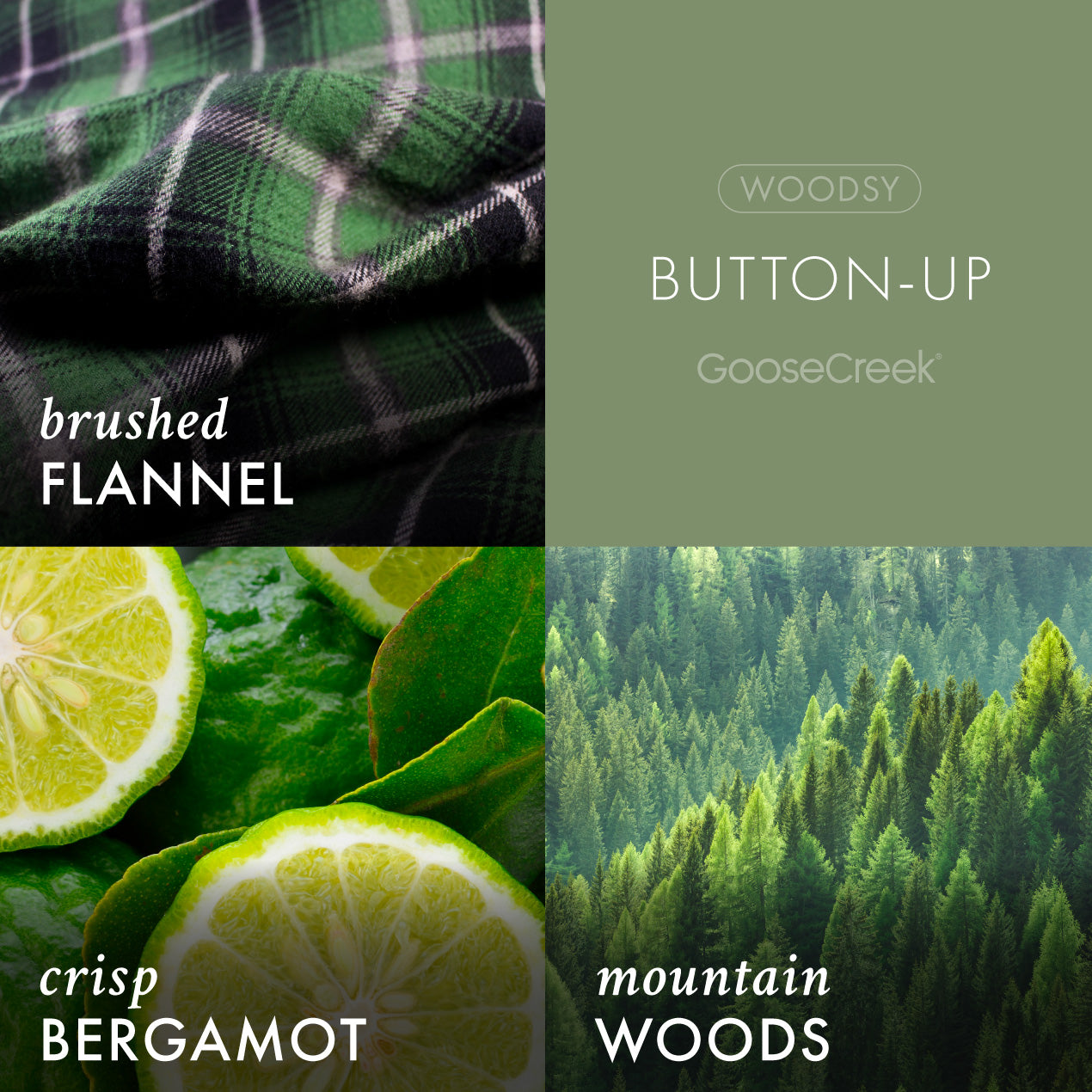Button-Up Lush Foaming Hand Soap - Image 2