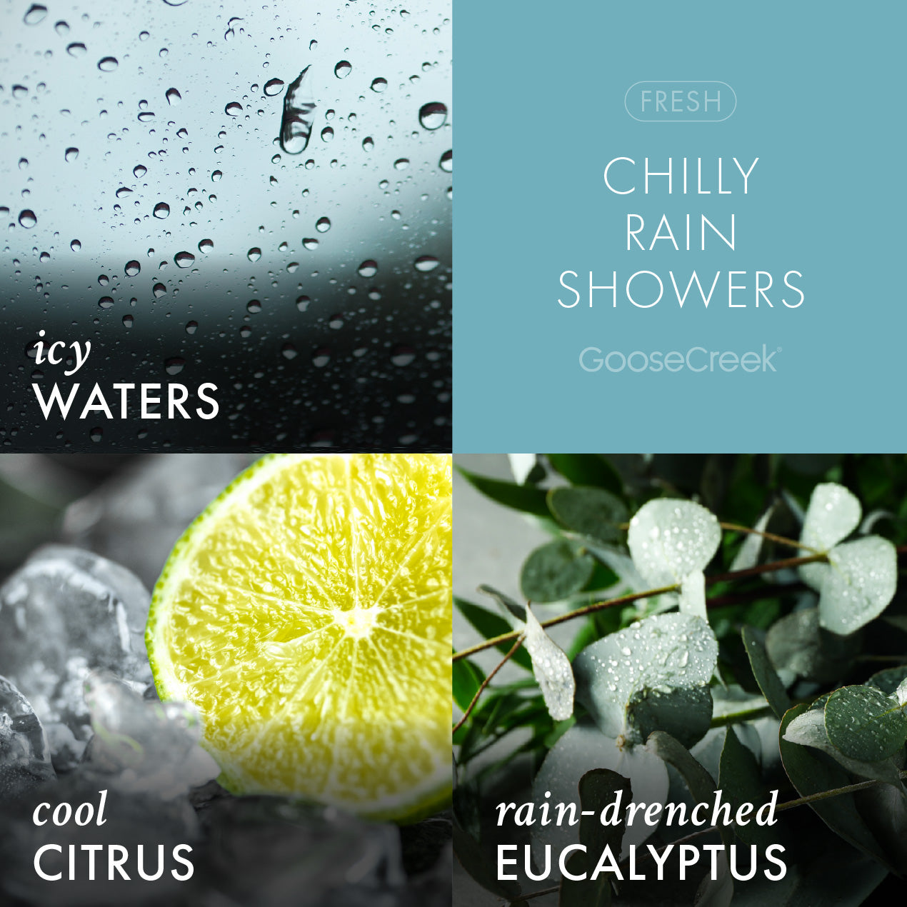 Chilly Rain Showers Lush Foaming Hand Soap - Image 2