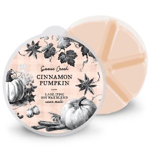 Cinnamon Pumpkin Wax Melt