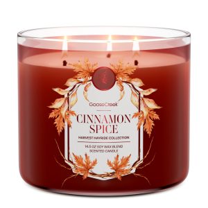 Cinnamon Spice 3-Wick Candle