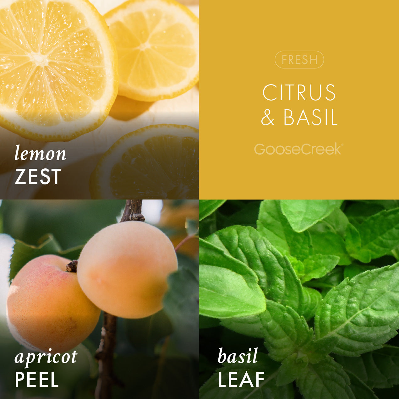 Citrus & Basil Aromatherapy Large 3-Wick Candle - Image 2