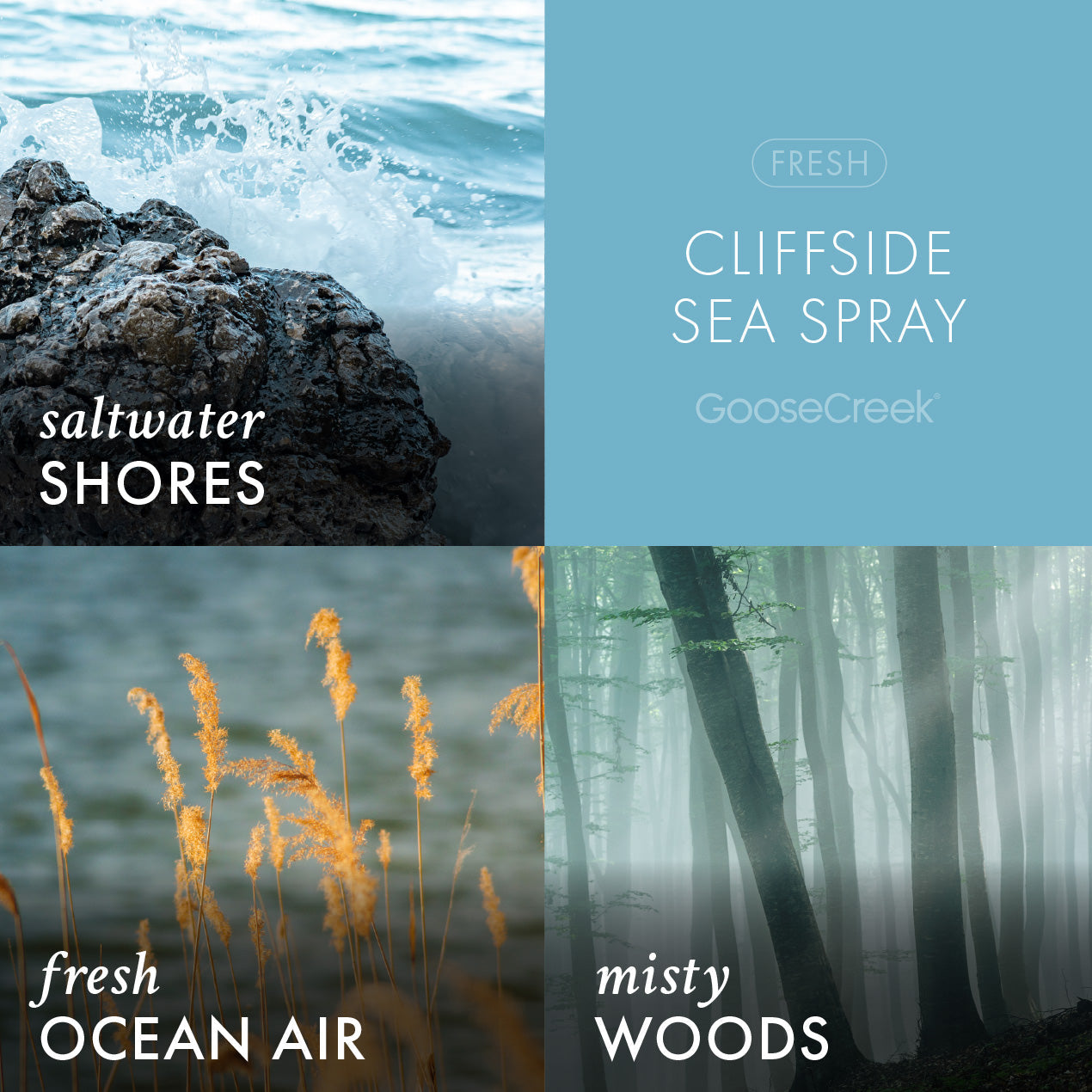 Cliffside Sea Spray Odor Eliminating Wax Melt - Image 2