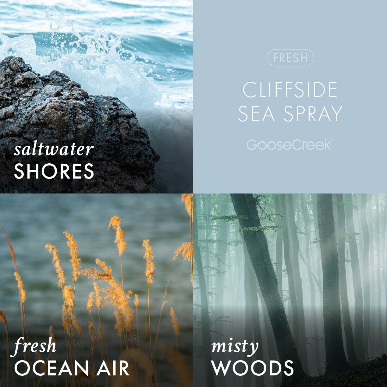 Cliffside Sea Spray Wax Melt - Image 2