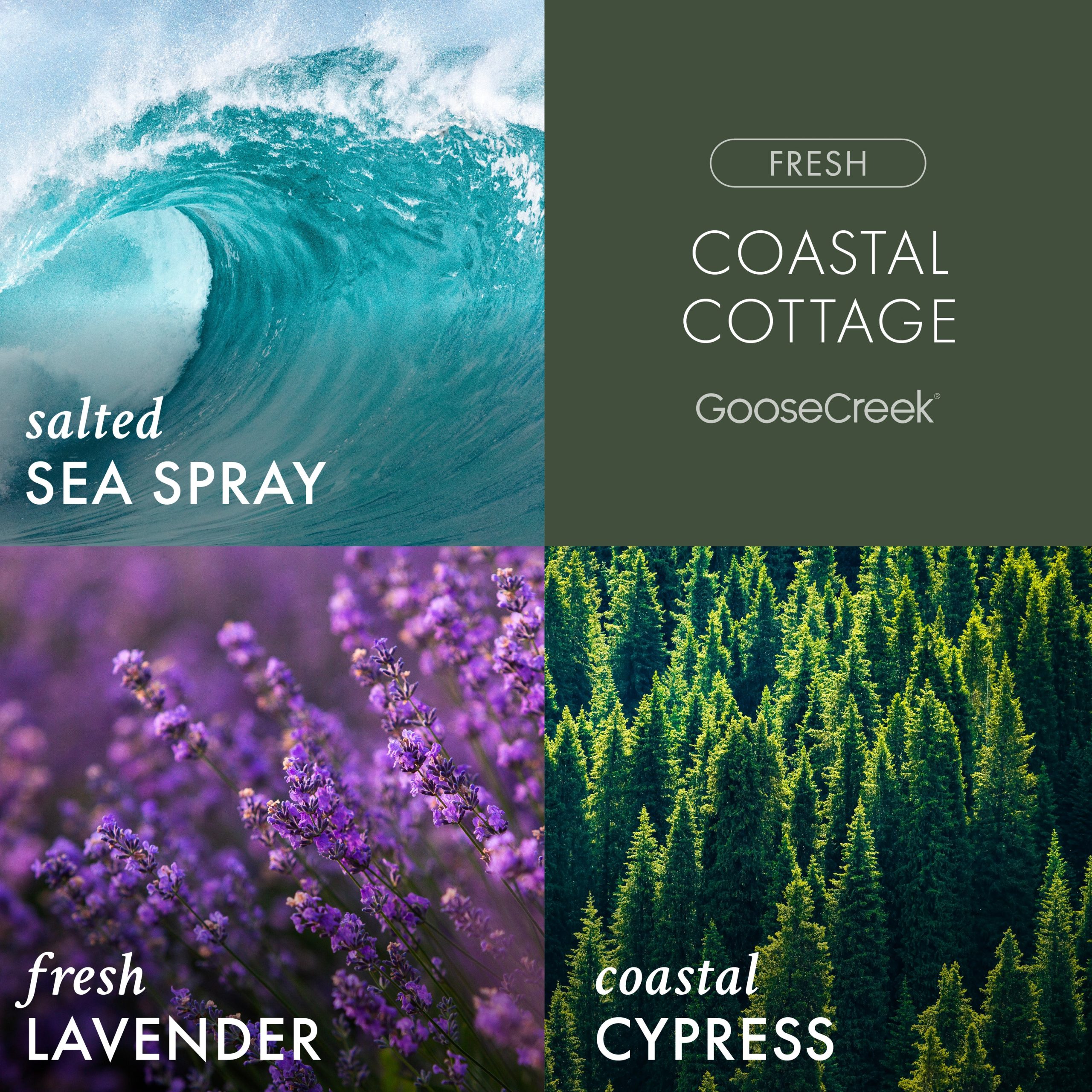 Coastal Cottage Plug-in Refill - Image 2