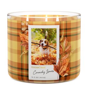 Crunchy Leaves 3-Wick Candle