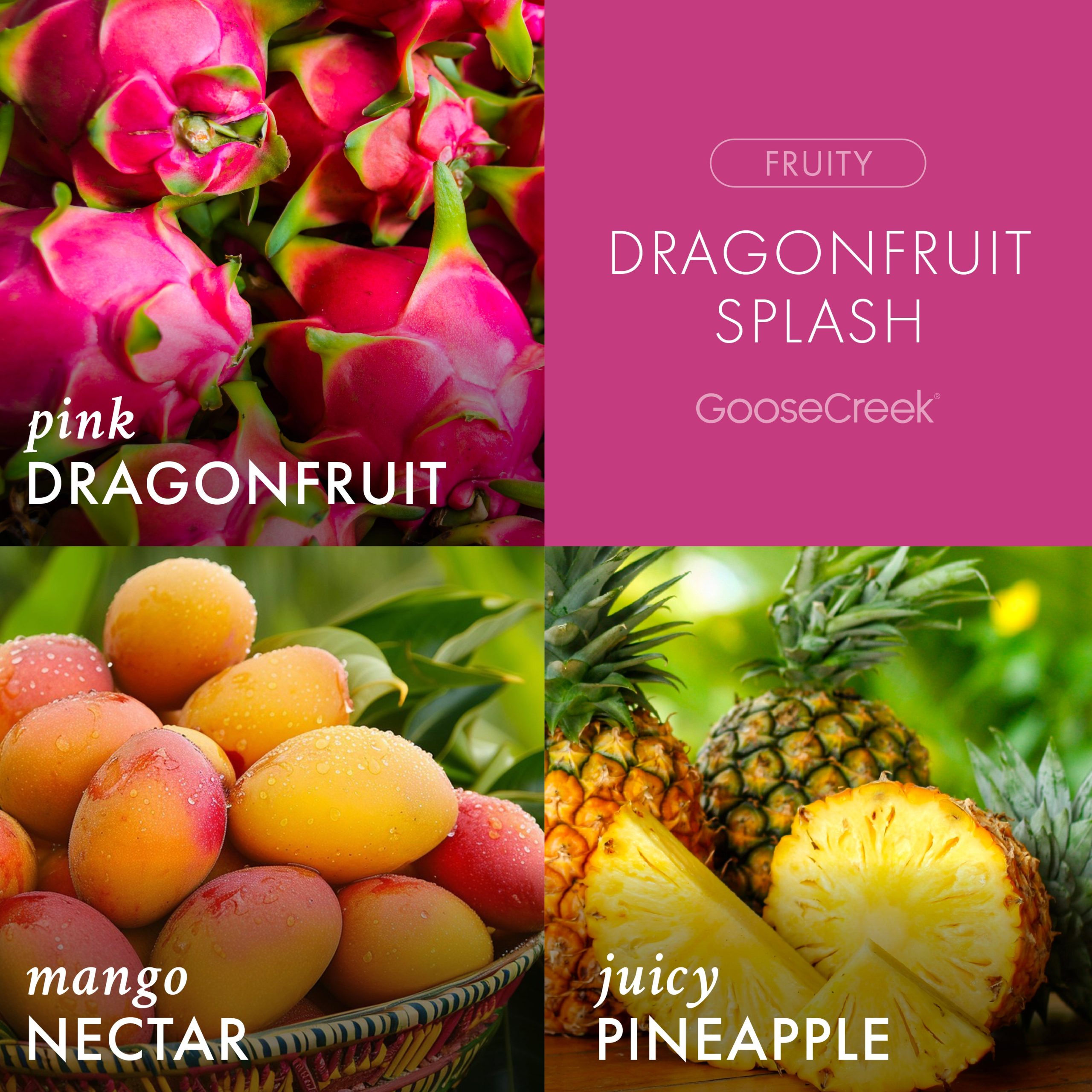 Dragonfruit Splash Odor Eliminating Wax Melt - Image 2