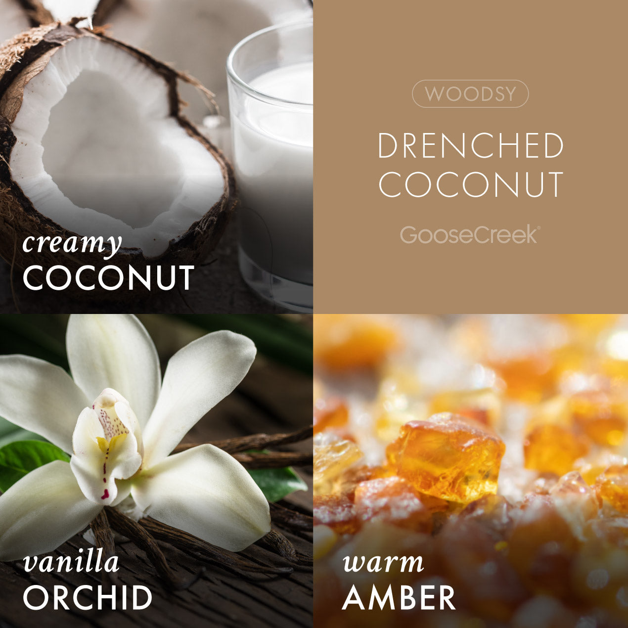 Drenched Coconut Wax Melt - Image 2