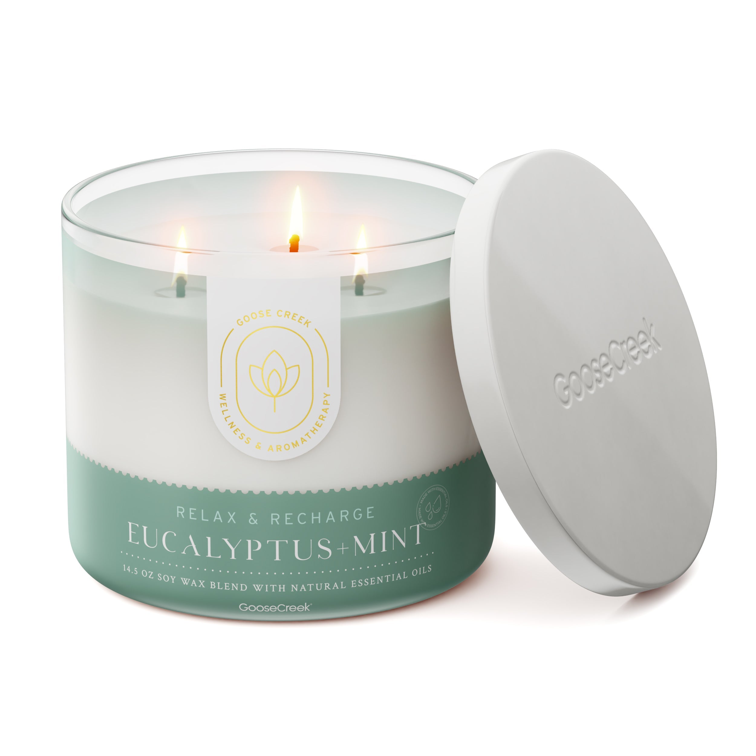 Eucalyptus & Mint Aromatherapy 3-Wick Candle - Image 3