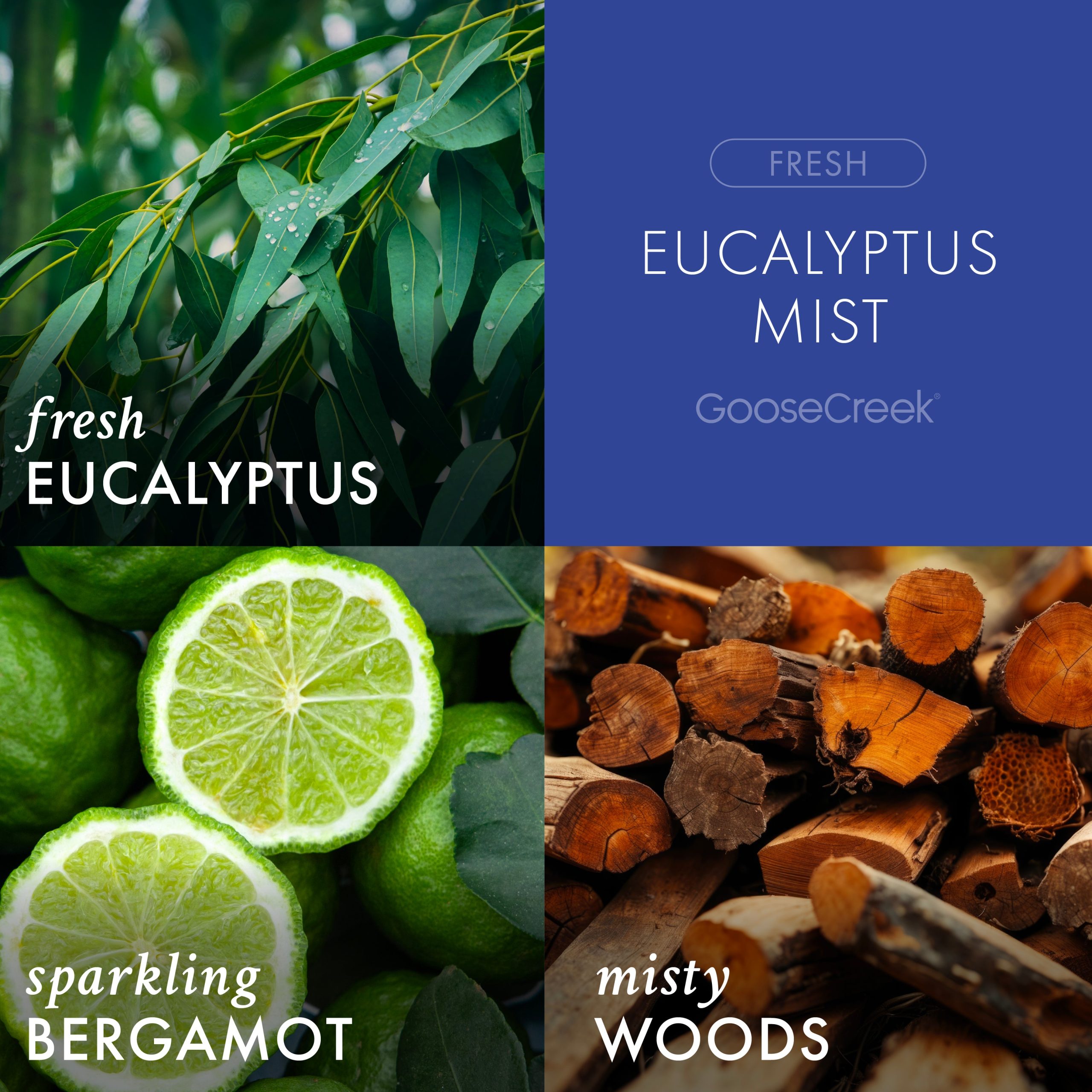 Eucalyptus Mist Odor Eliminating Room Spray - Image 2