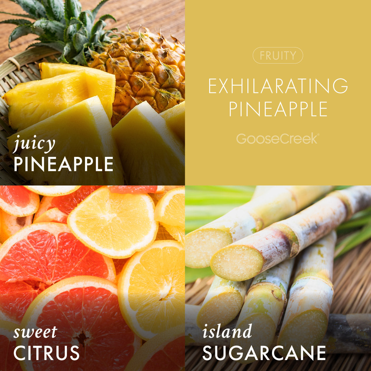 Exhilarating Pineapple Plug-in Refill - Image 2