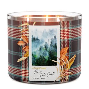 Fir & Palo Santo 3-Wick Candle