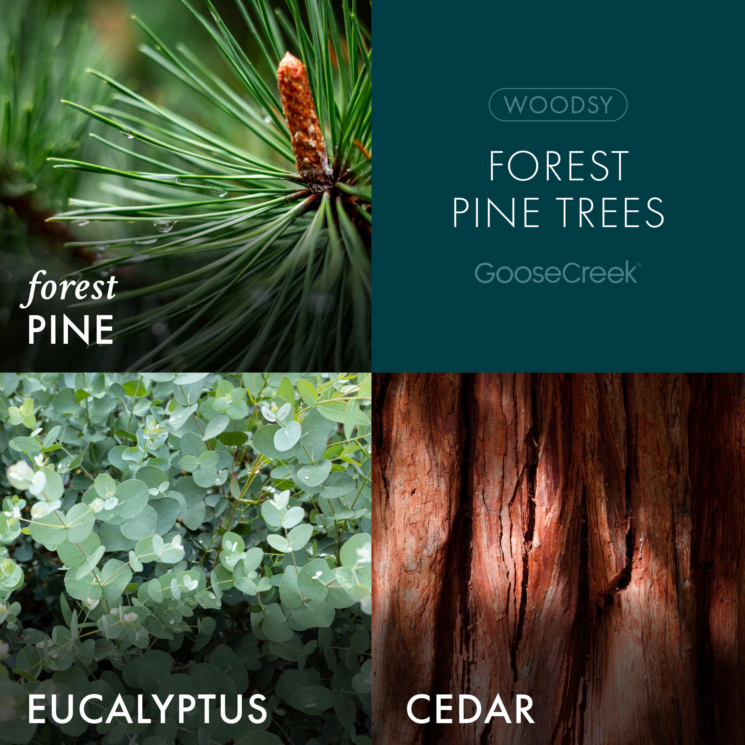 Forest Pine Trees Plug-in Refill - Image 2