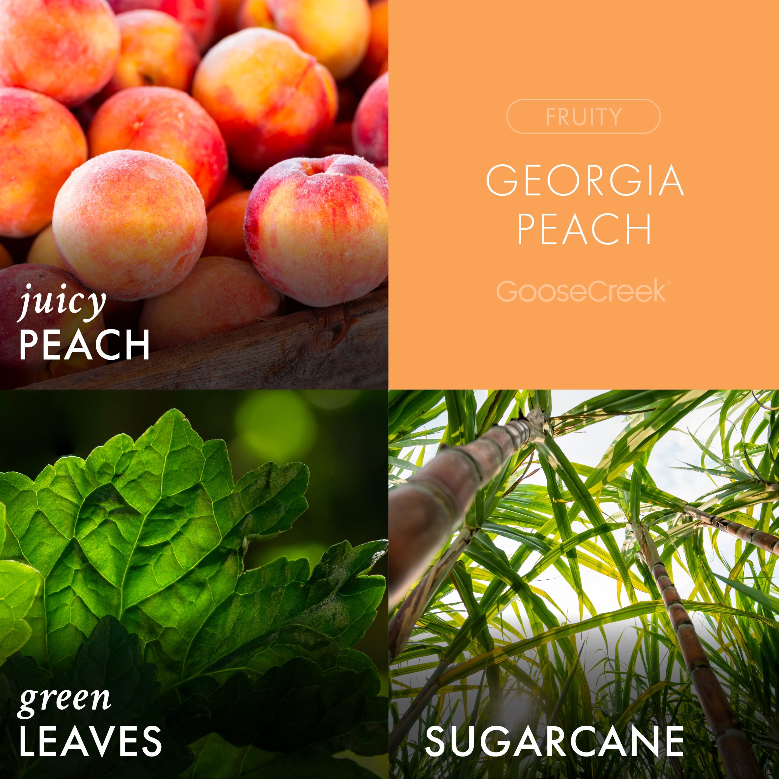 Georgia Peach Plug-in Refill - Image 2