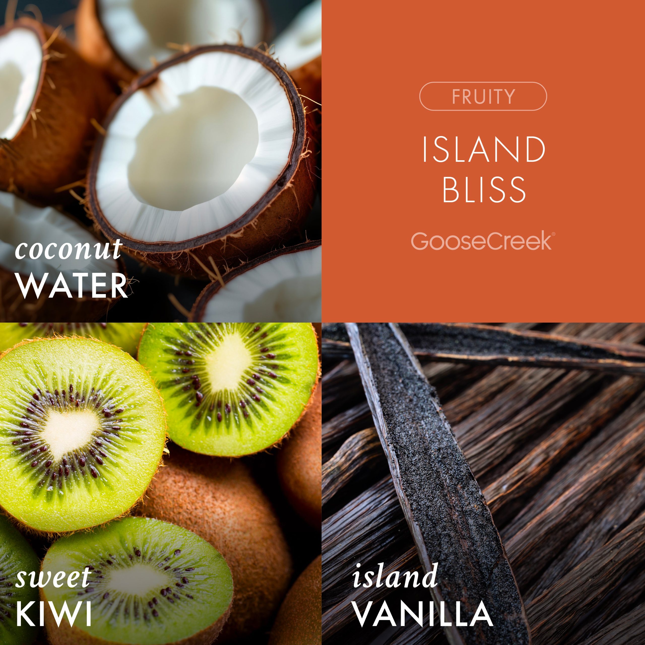 Island Bliss Odor Eliminating Plug-in Refill - Image 2