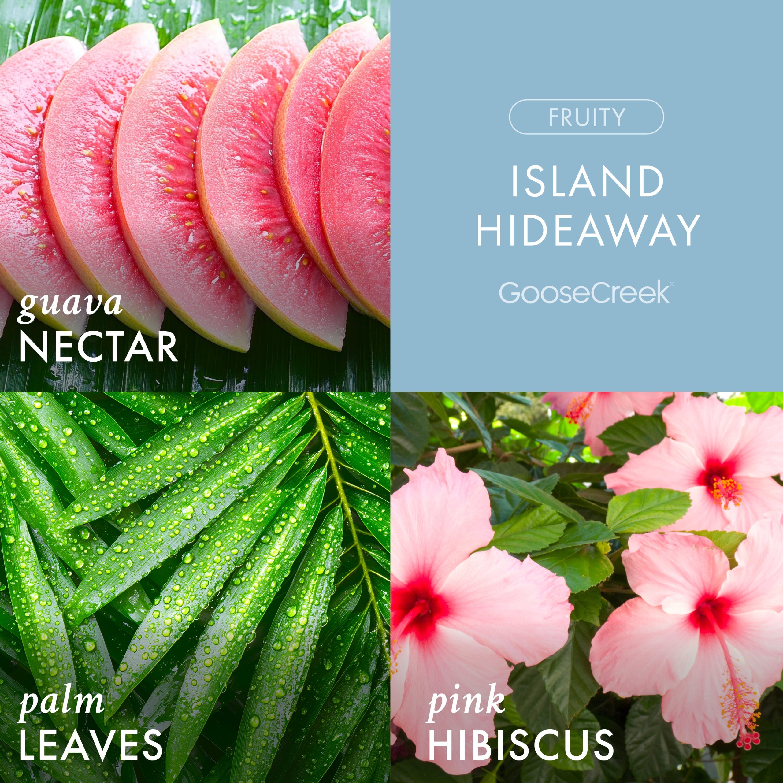 Island Hideaway Plug-in Refill - Image 2