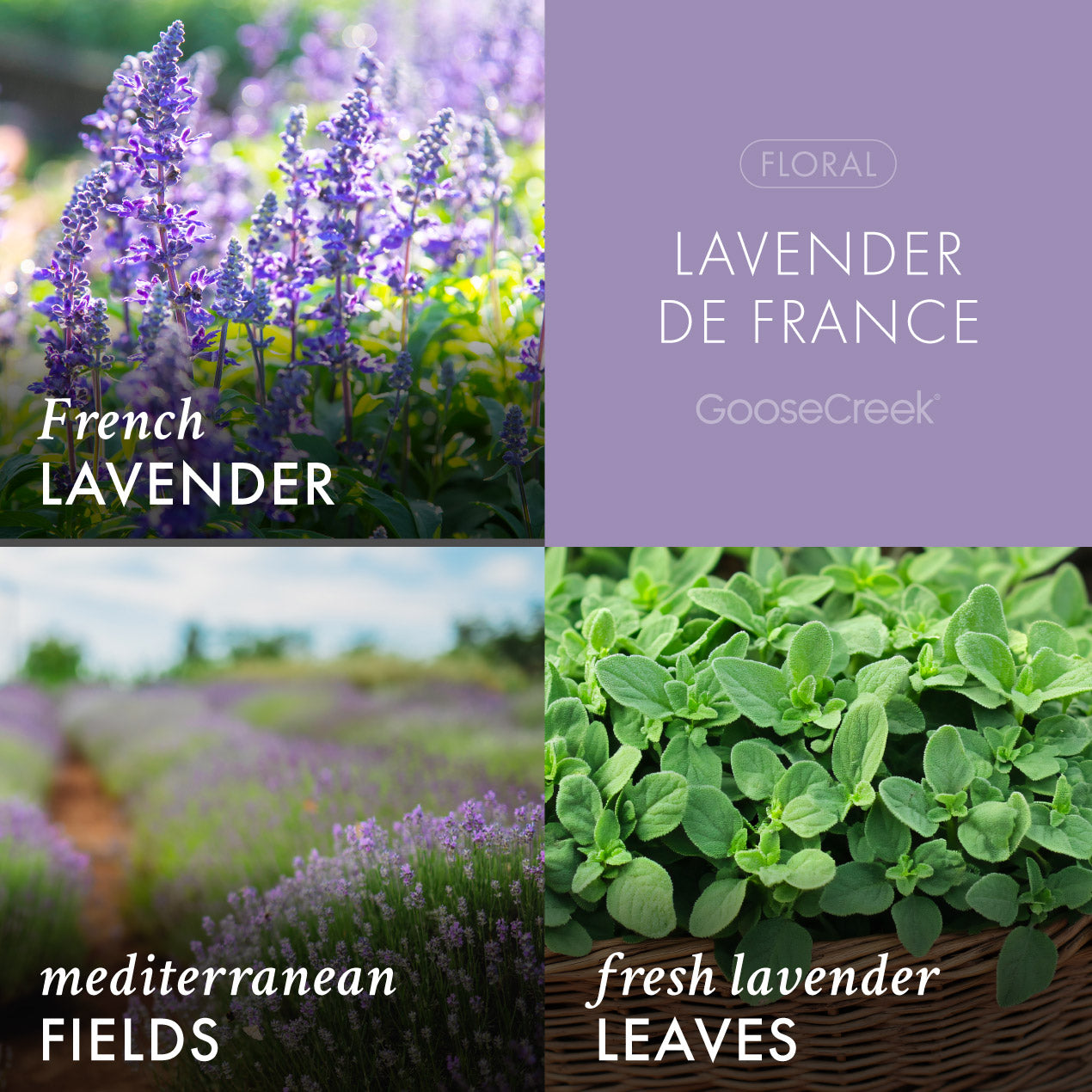 Lavender de France Wax Melt - Image 2