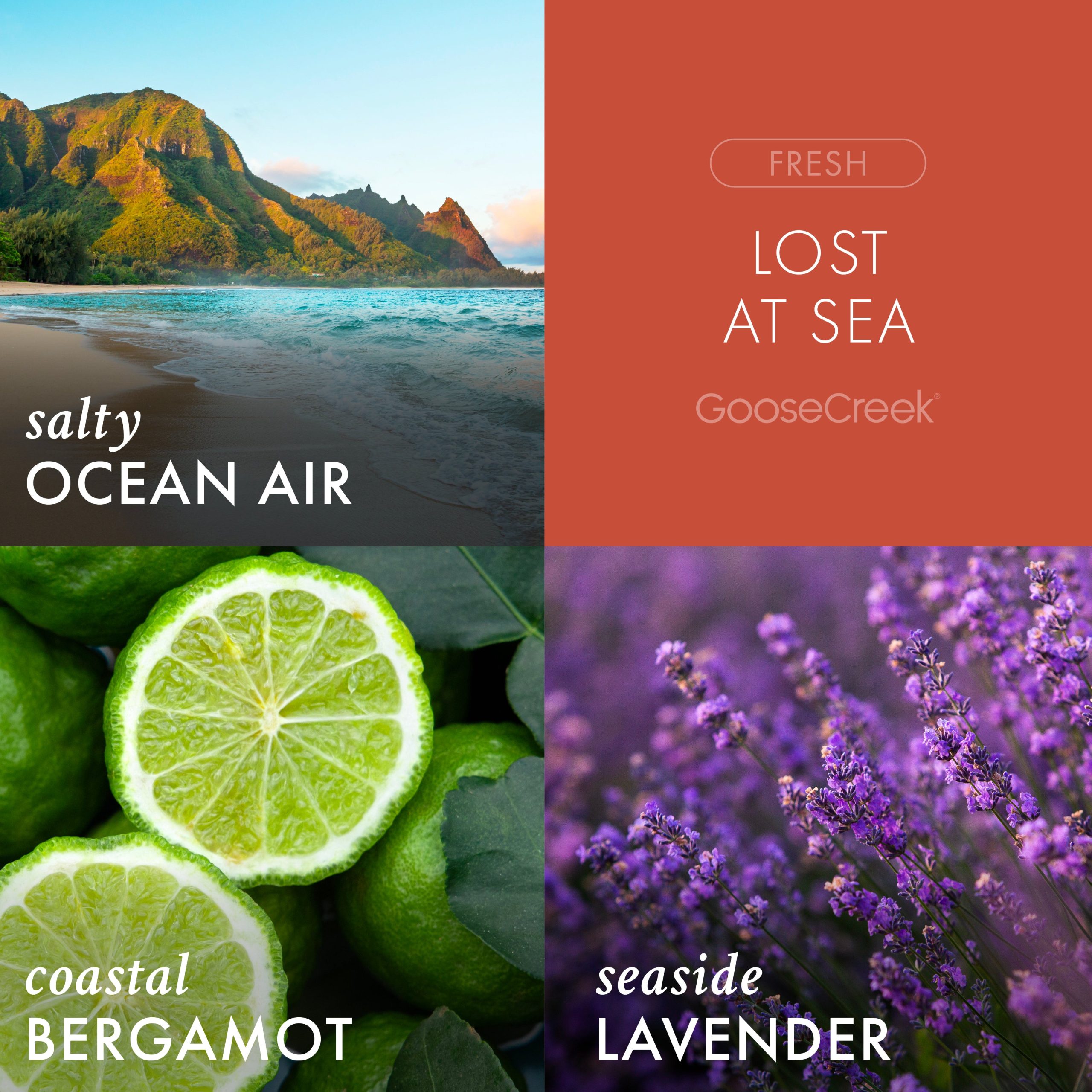 Lost at Sea Odor Eliminating 3-Wick Candle - Image 2
