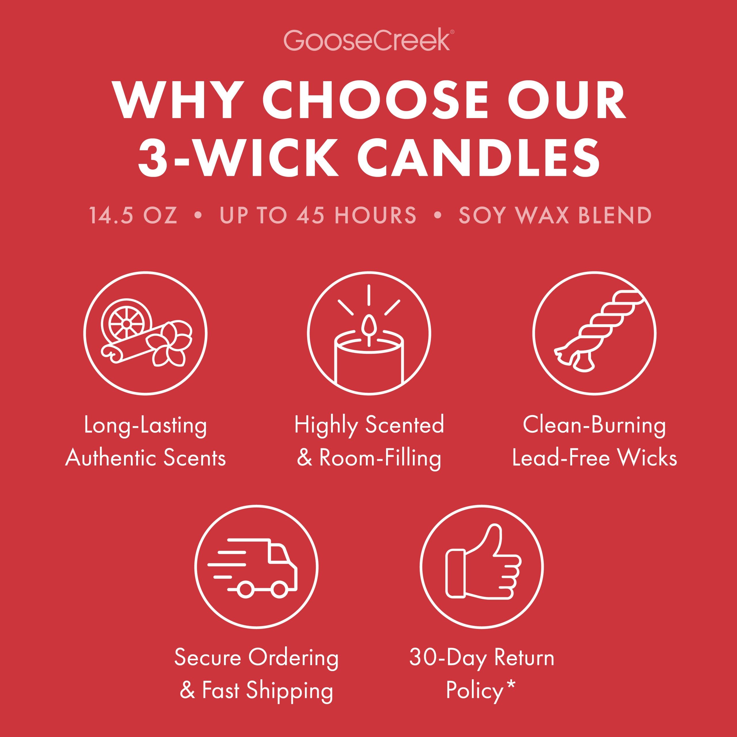 Macintosh Apple 3-Wick Candle - Image 4