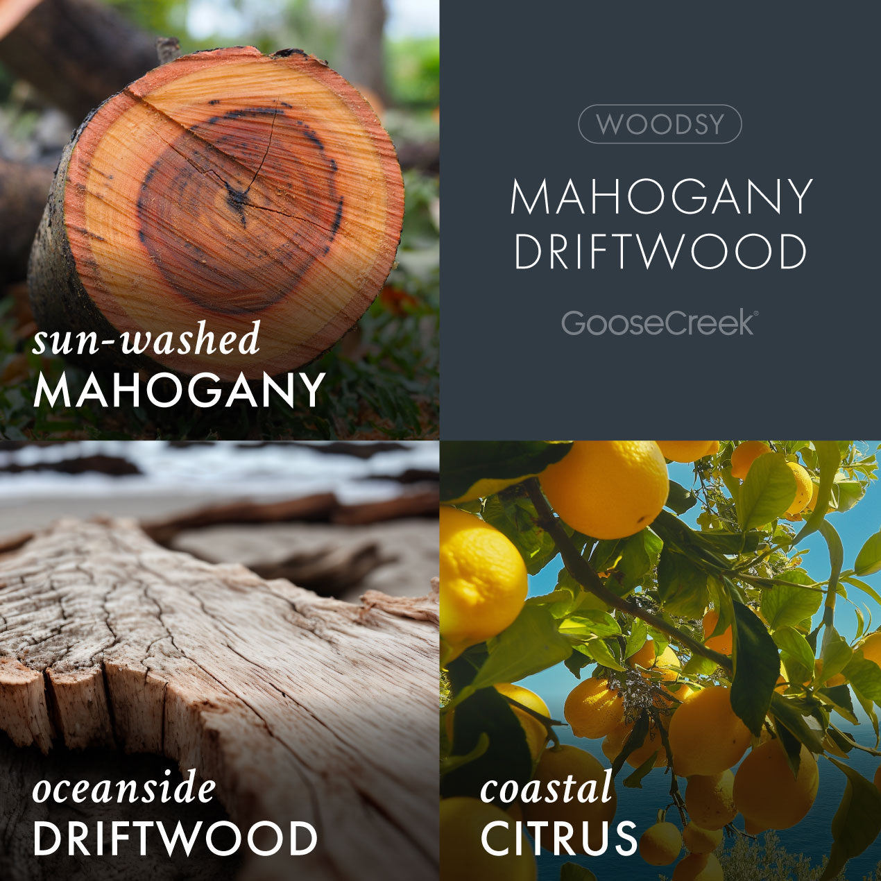 Mahogany Driftwood Odor Eliminating Room Spray - Image 2