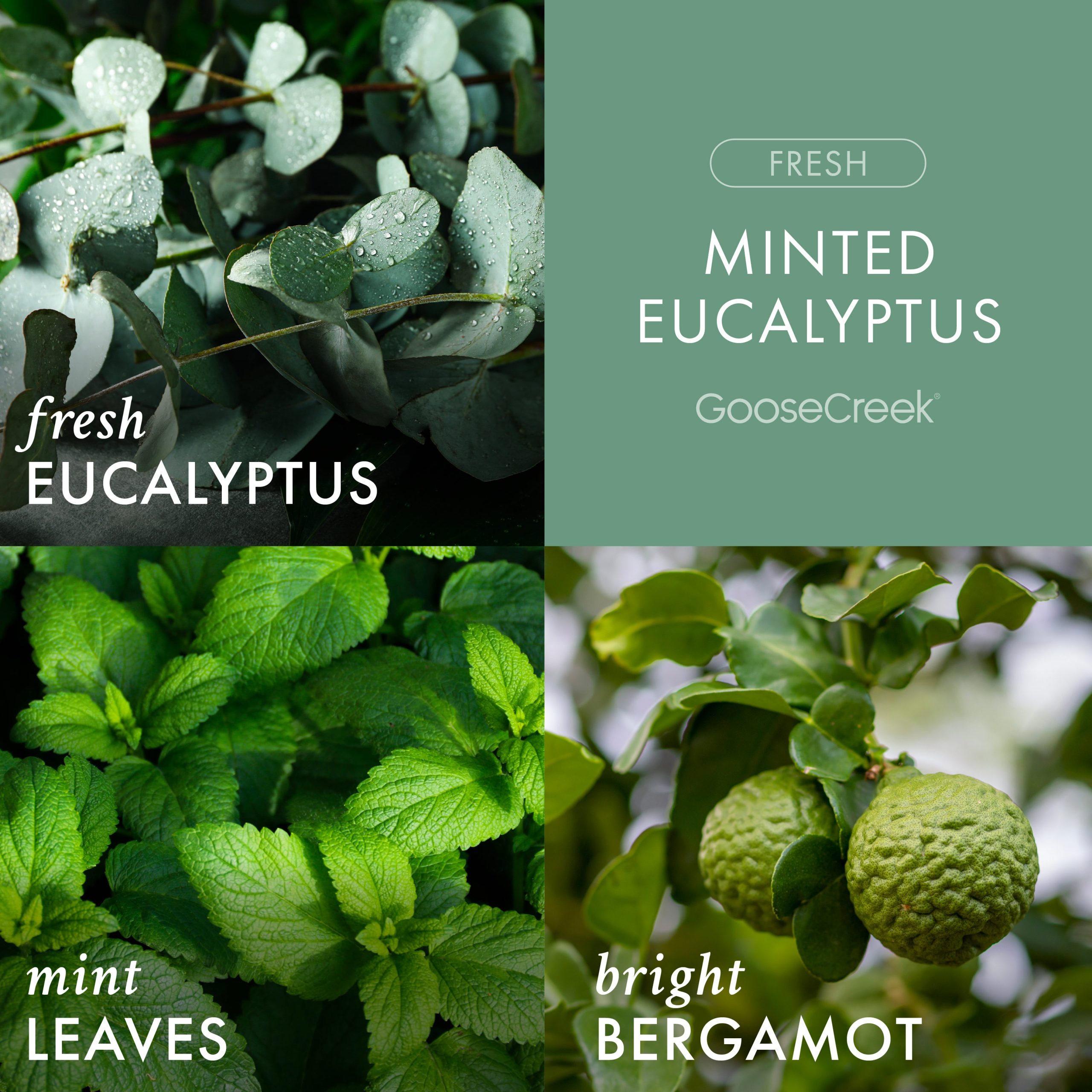 Minted Eucalyptus 3-Wick Candle - Image 2