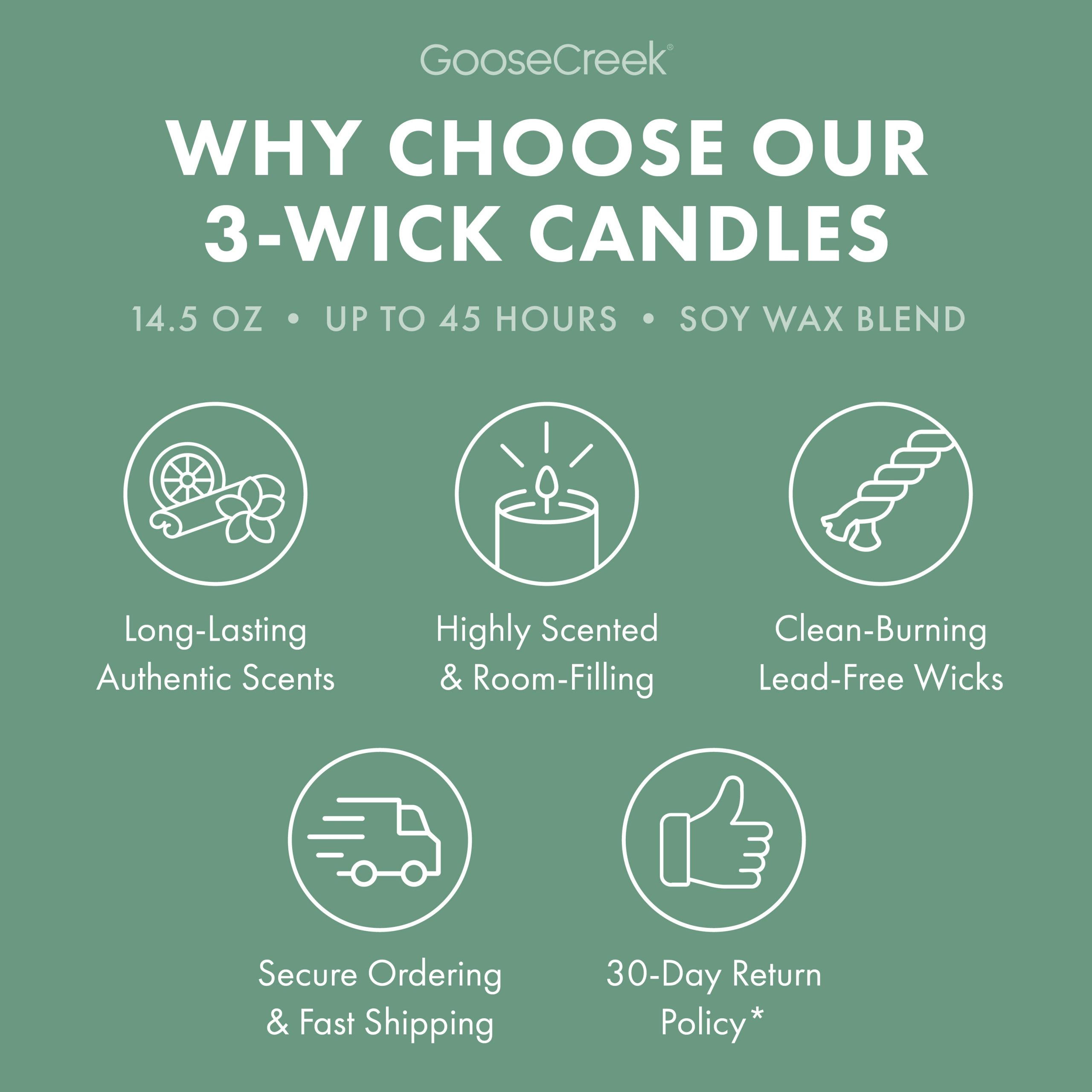 Minted Eucalyptus 3-Wick Candle - Image 4
