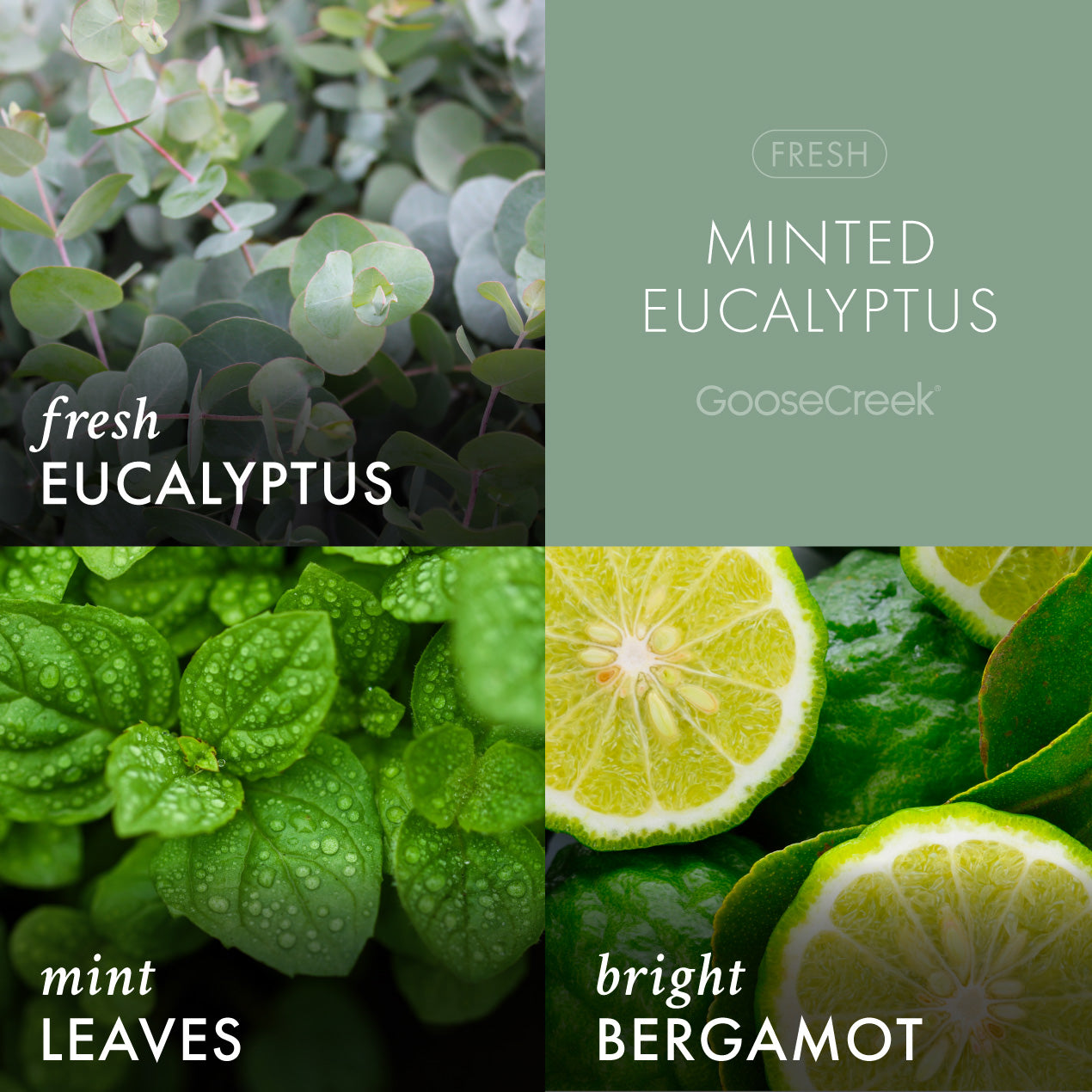 Minted Eucalyptus Plug-in Refill - Image 2