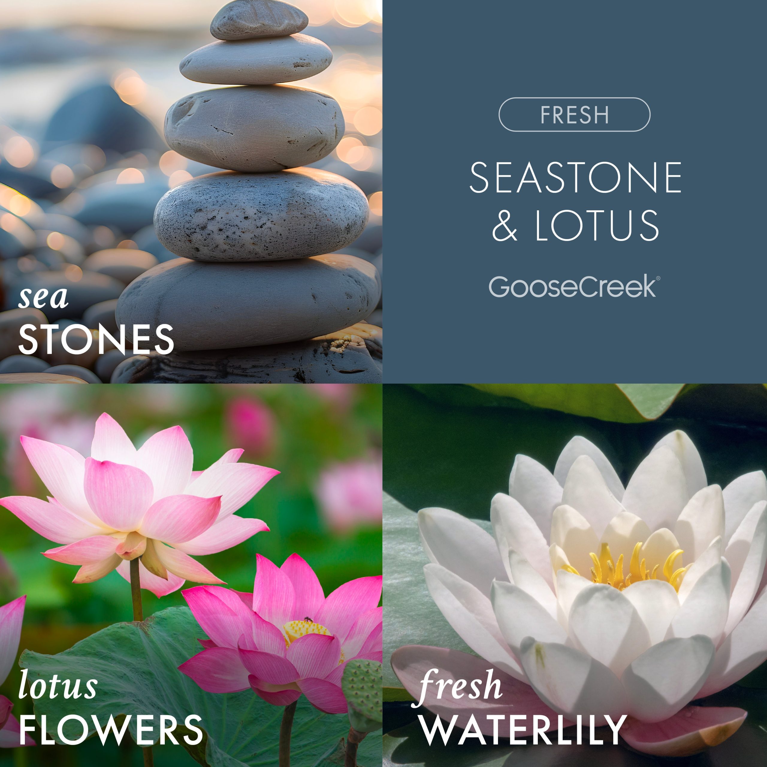 Seastone & Lotus Plug-in Refill - Image 2