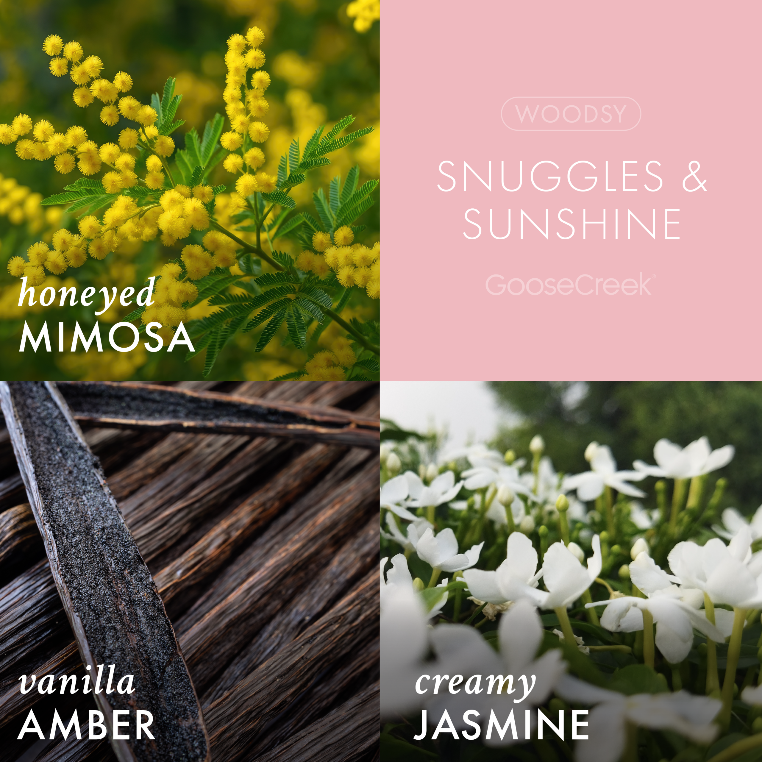 Snuggles & Sunshine Plug-in Refill - Image 2