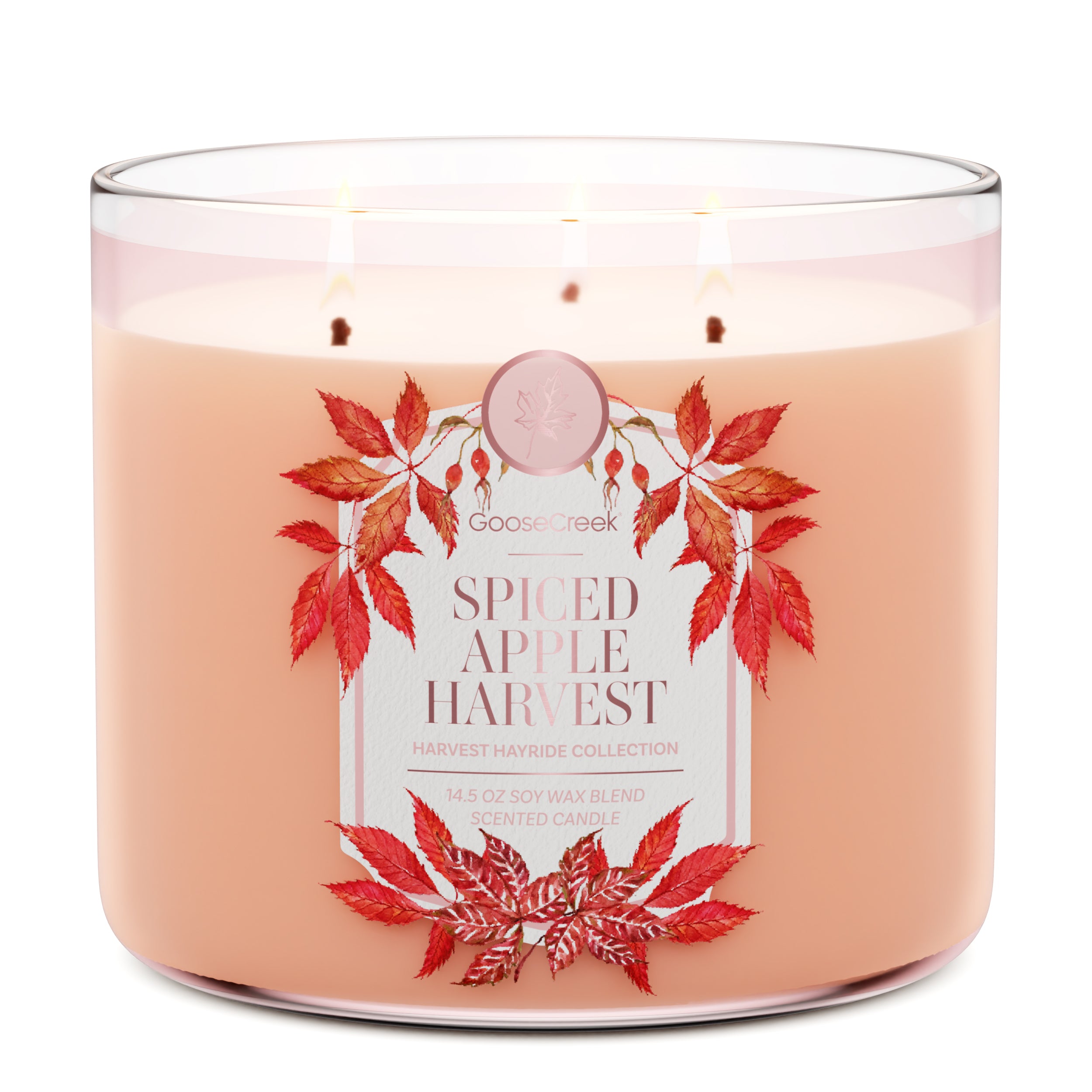 Spiced Apple Harvest 3-Wick Candle