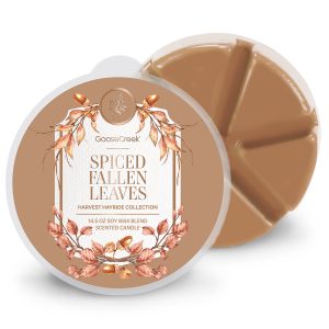Spiced Fallen Leaves Wax Melt