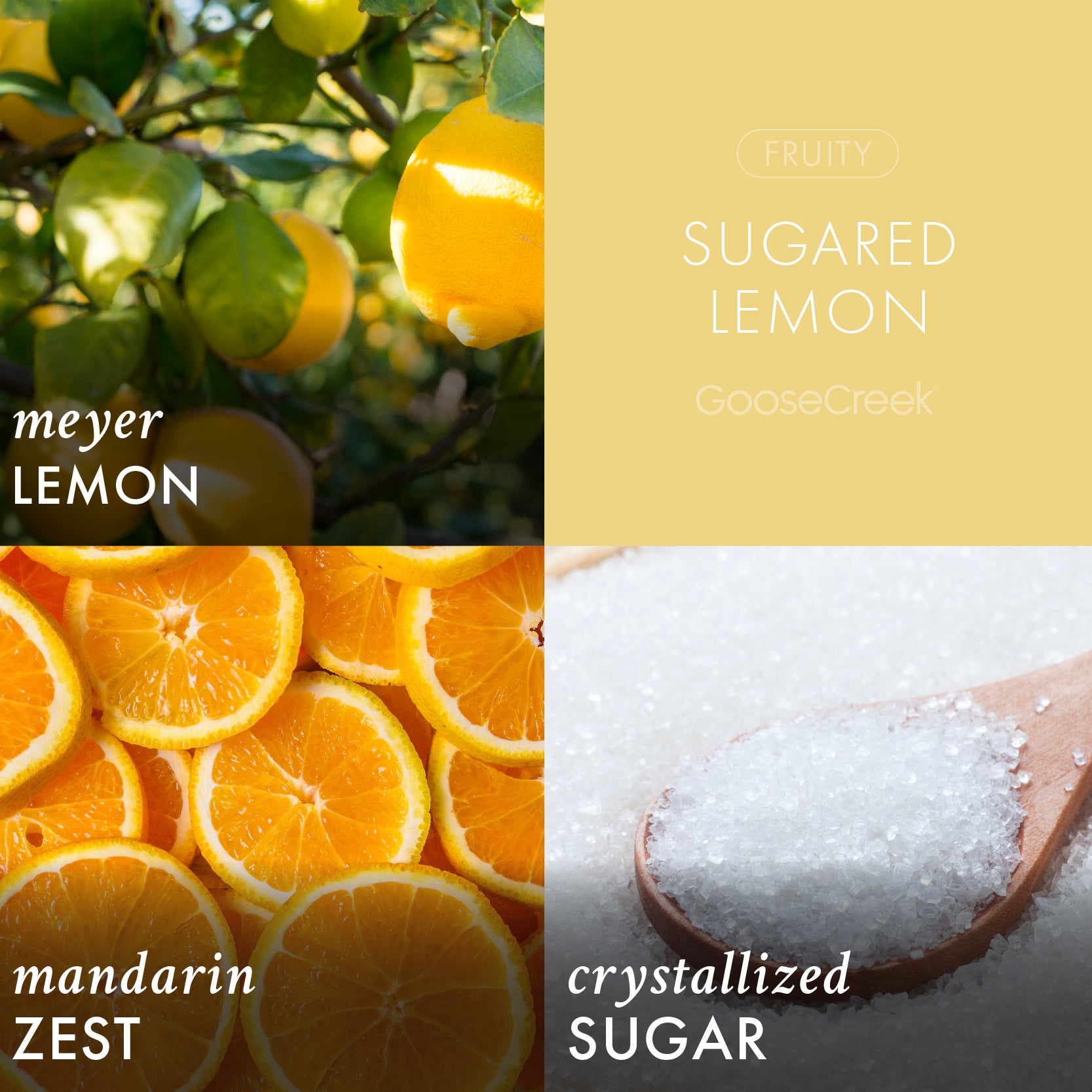 Sugared Lemon Foaming Hand Soap - Image 2