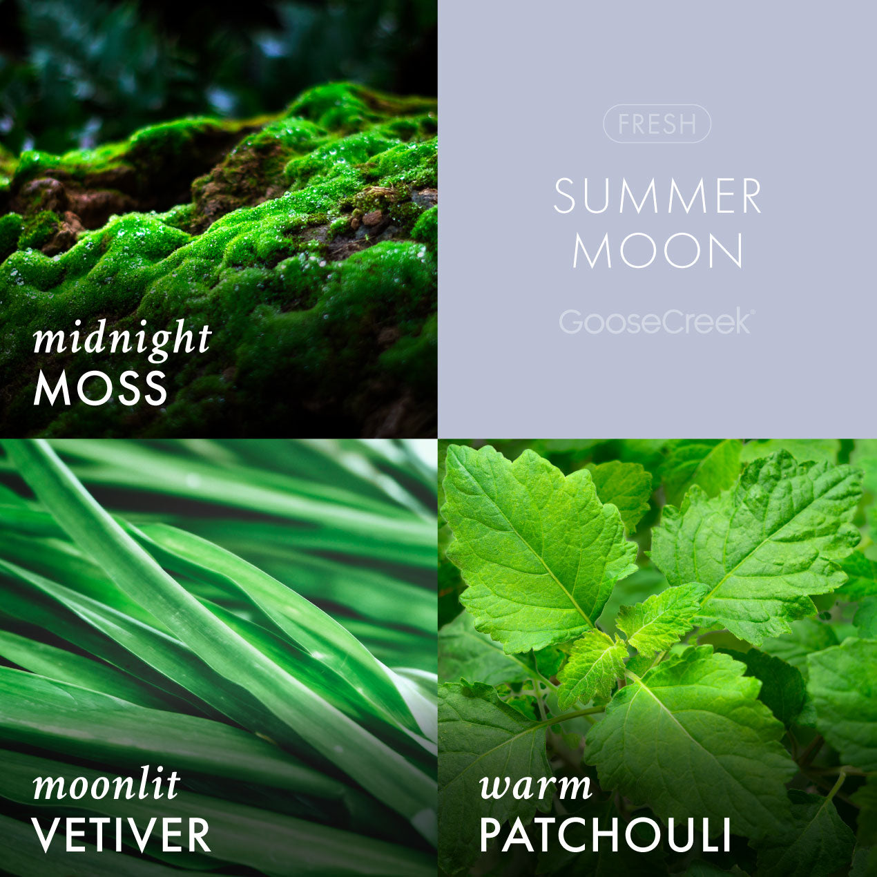 Summer Moon 3-Wick Candle - Image 2