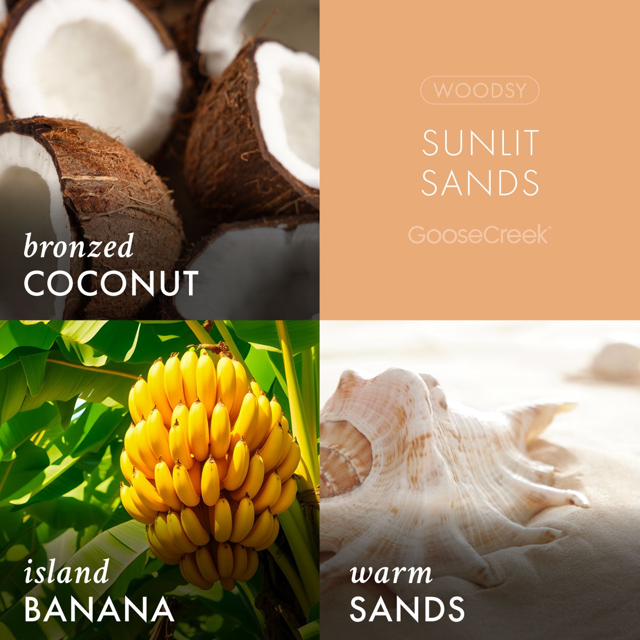 Sunlit Sands Lush Foaming Hand Soap - Image 3