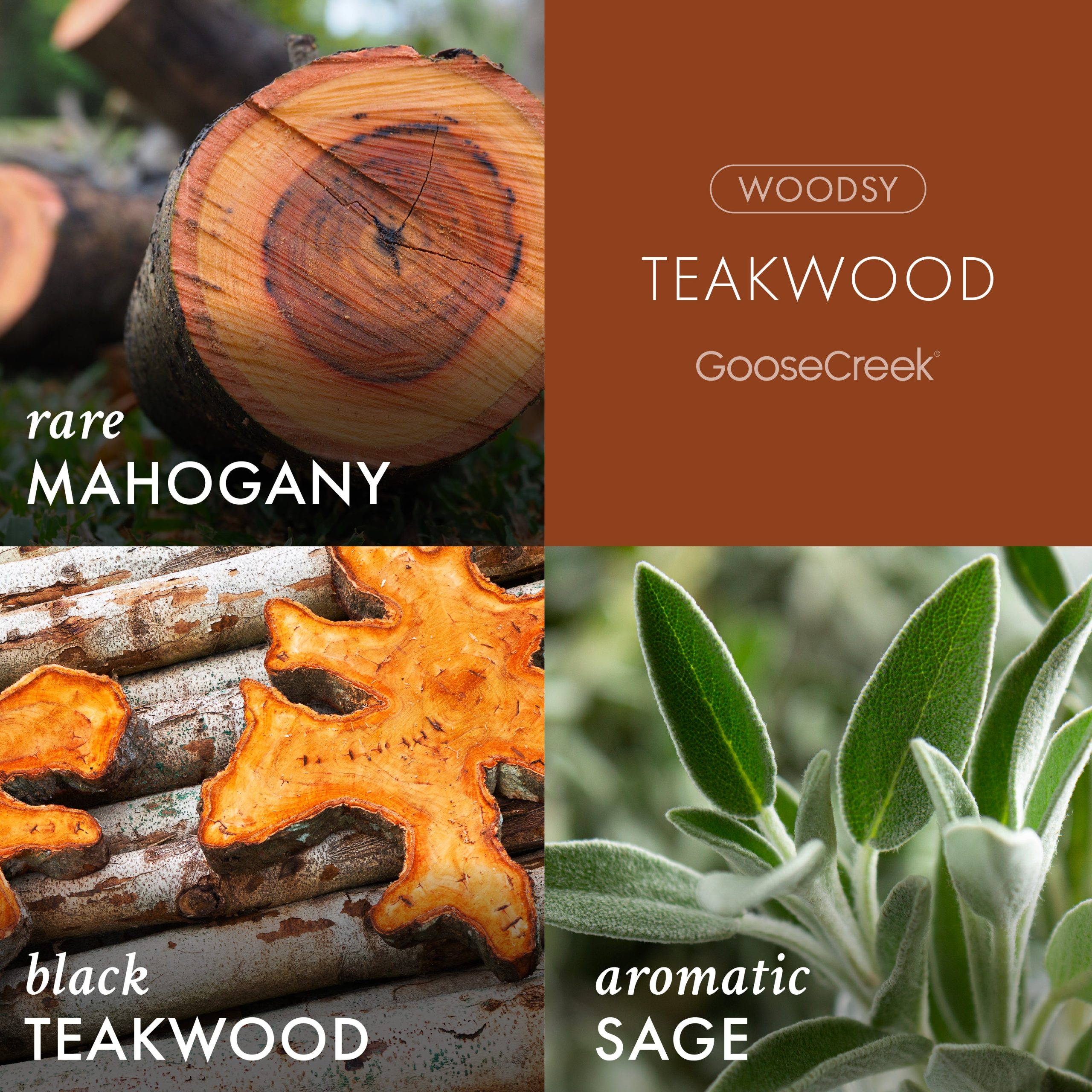 Teakwood Odor Eliminating Room Spray - Image 2