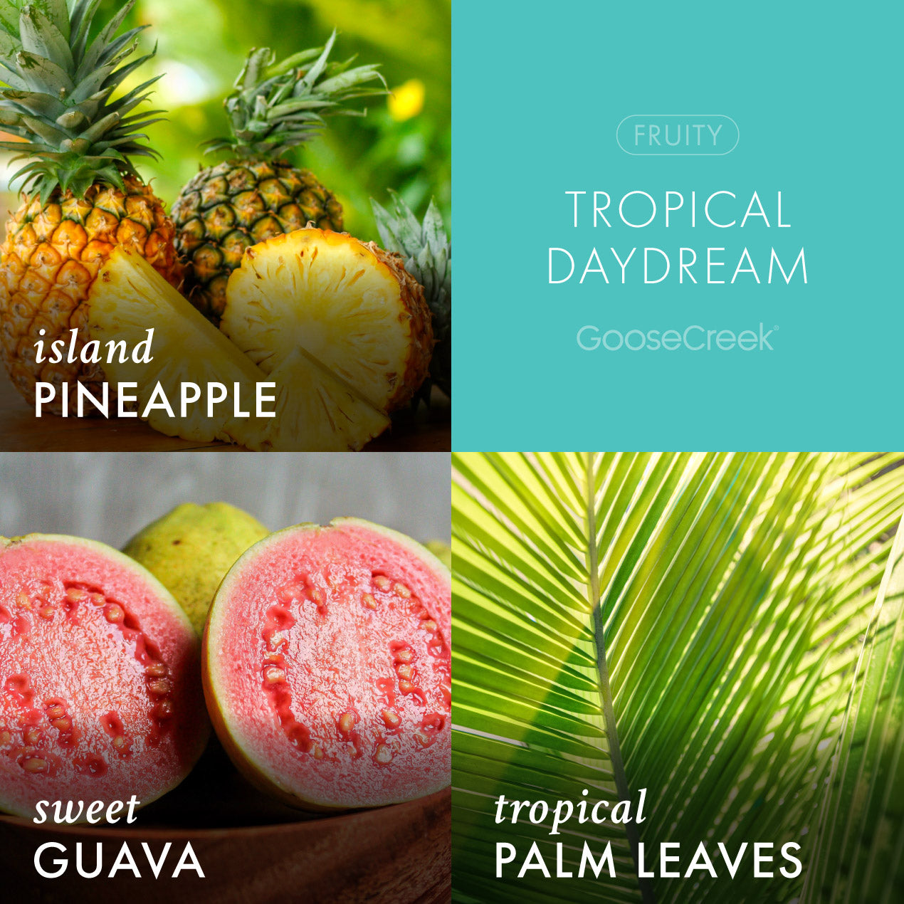Tropical Daydream Lush Foaming Hand Soap - Image 3
