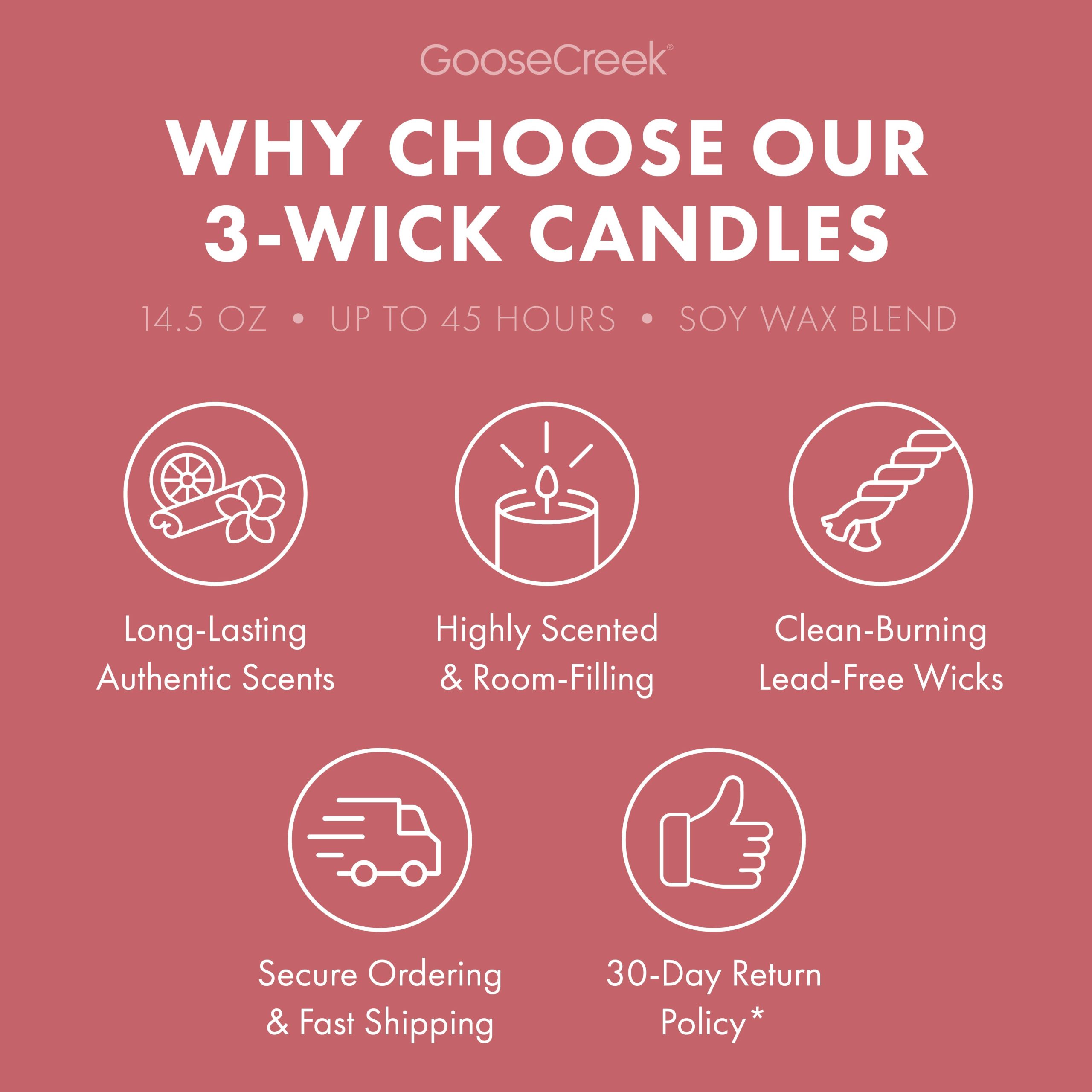 Watermelon Lemonade Odor Eliminating 3-Wick Candle - Image 5
