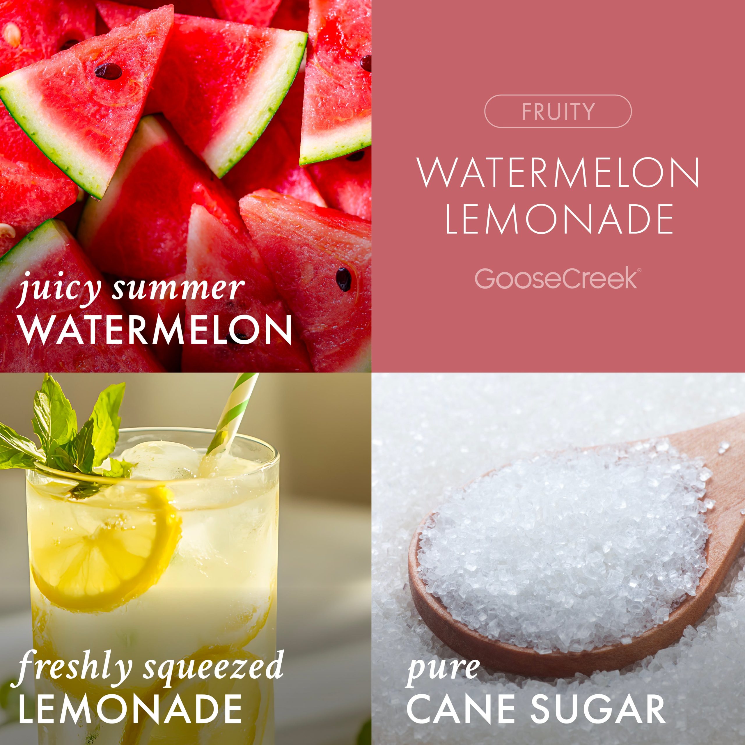 Watermelon Lemonade Odor Eliminating Wax Melt - Image 2