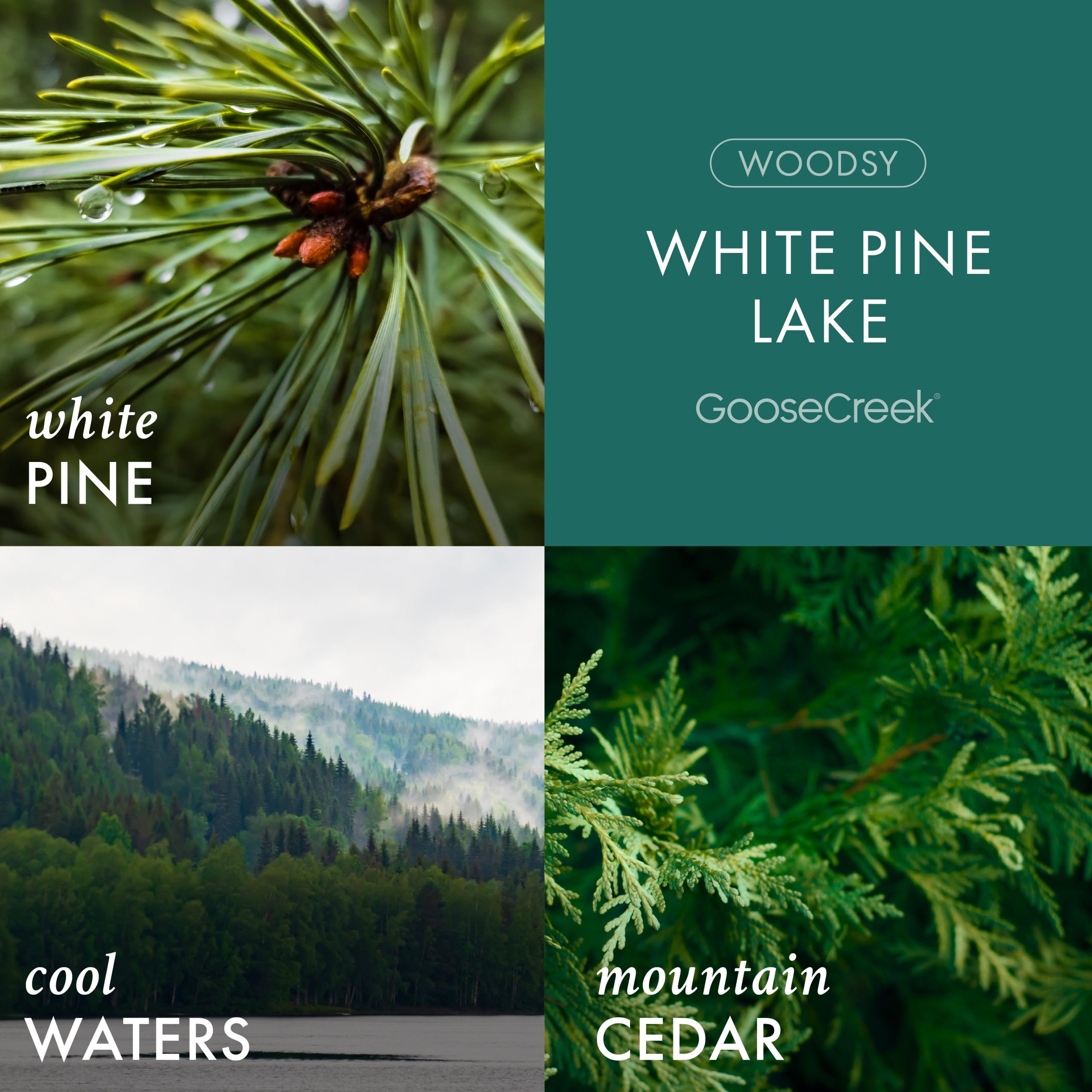 White Pine Lake 3-Wick Candle - Image 2