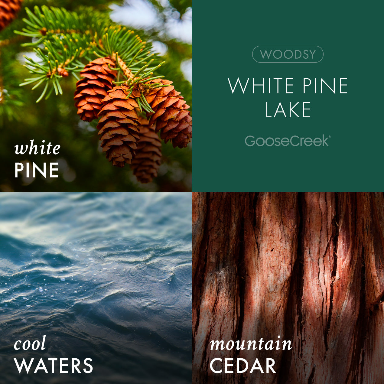 White Pine Lake Plug-in Refill - Image 2