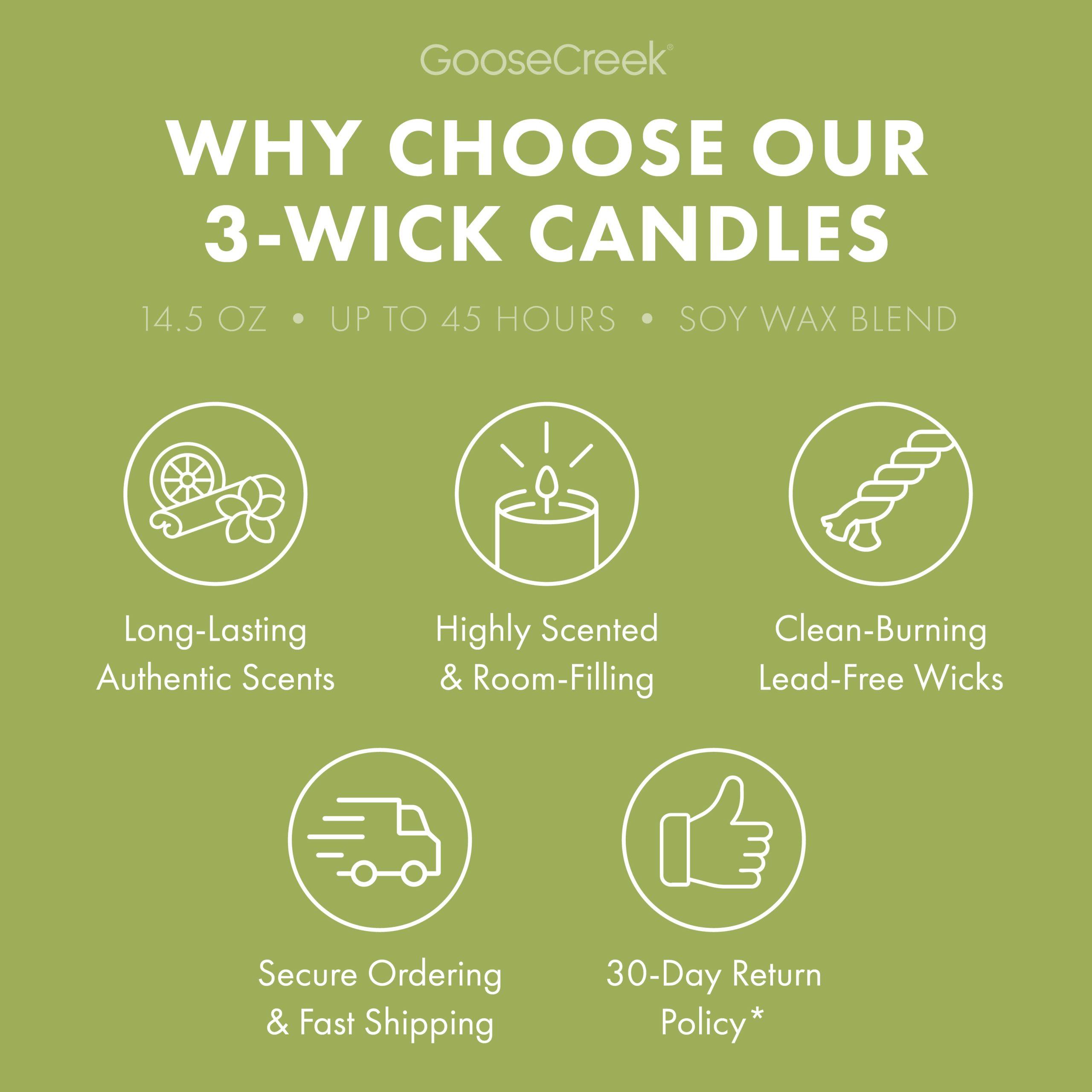 Wild Green Apple Odor Eliminating 3-Wick Candle - Image 5