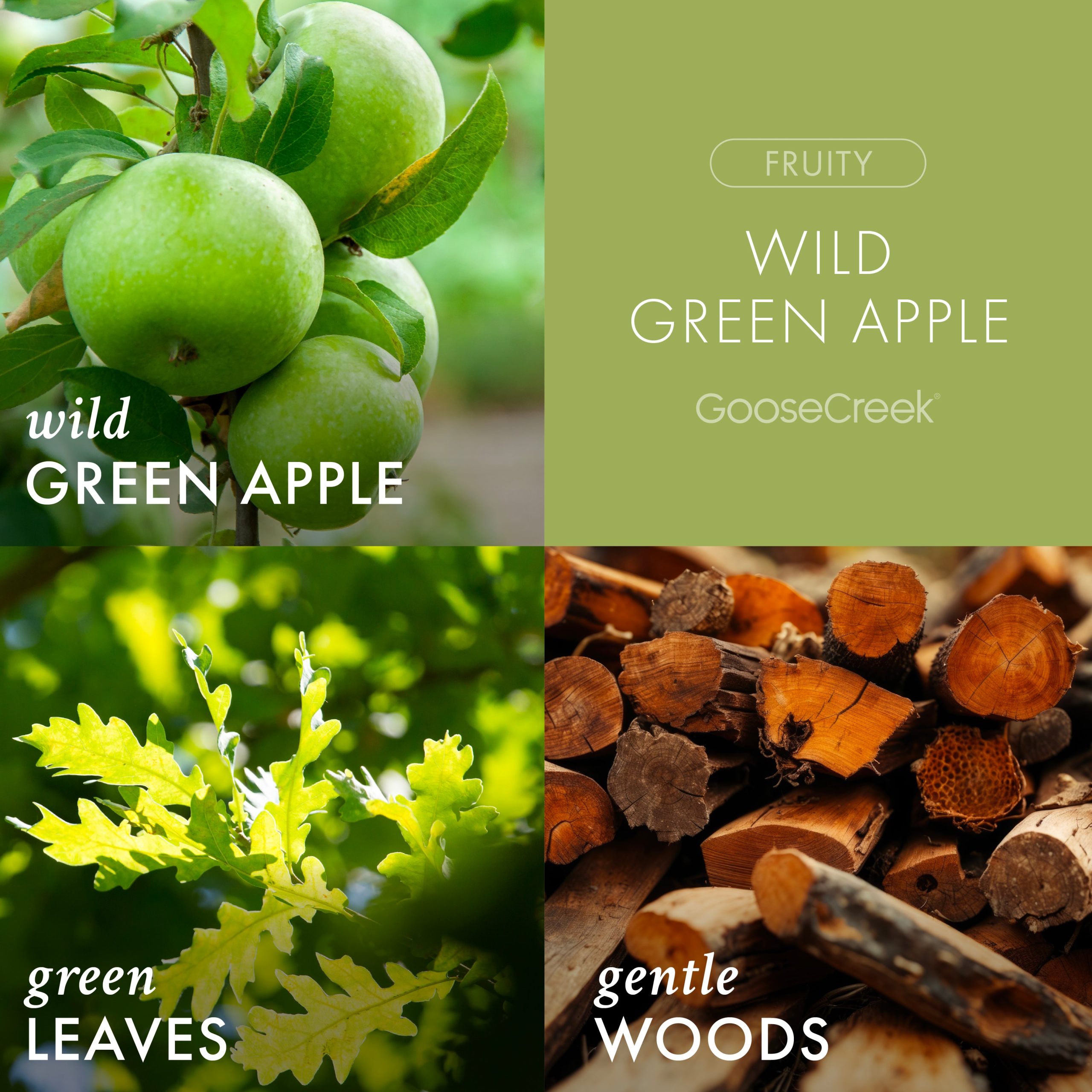 Wild Green Apple Odor Eliminating Room Spray - Image 2