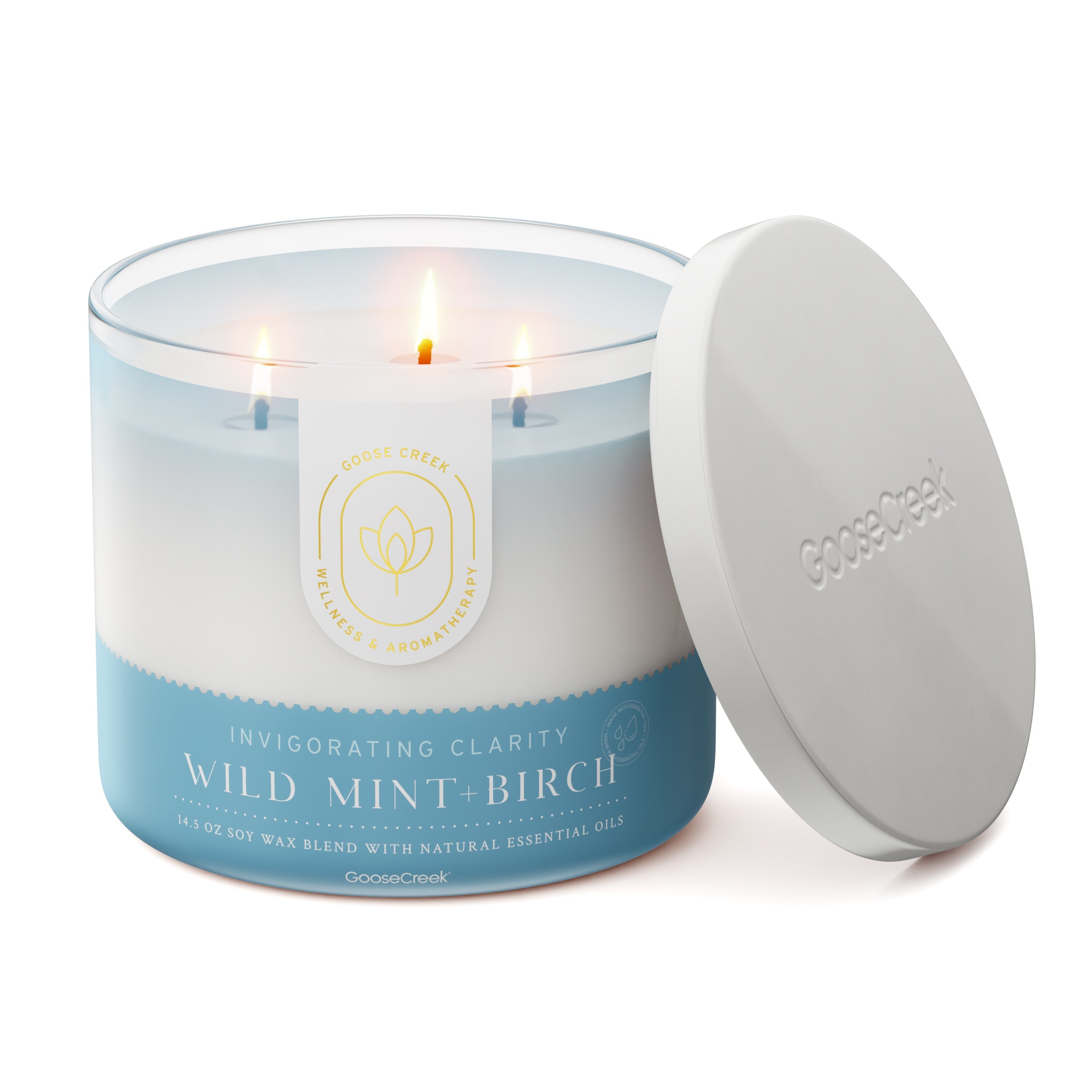 Wild Mint & Birch Aromatherapy 3-Wick Candle - Image 3