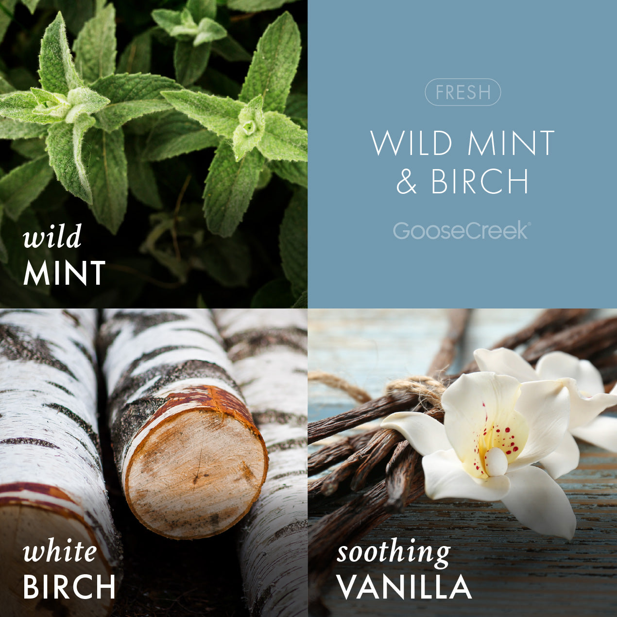 Wild Mint & Birch Wax Melt - Image 2