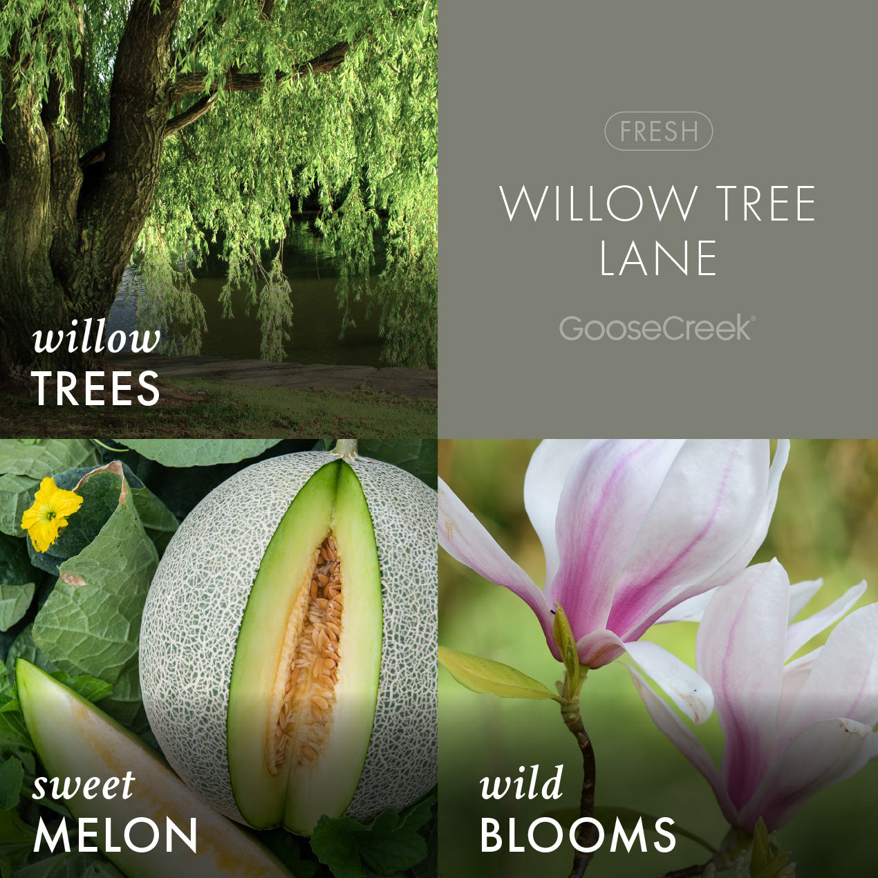 Willow Tree Lane Wax Melt - Image 2